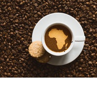 Kenyan Coffee Value Increase