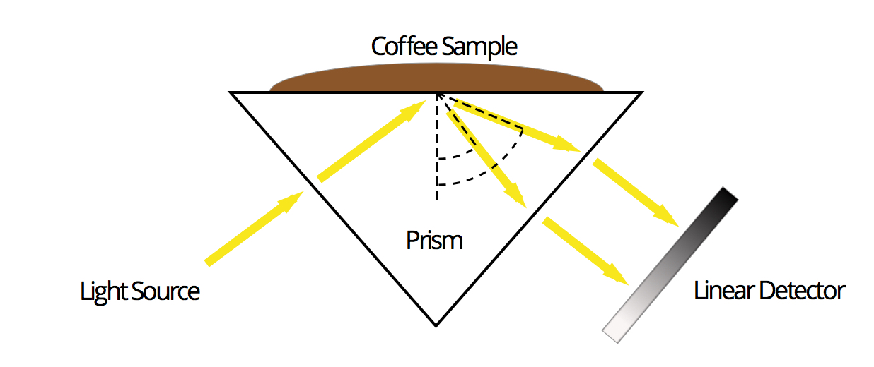 coffee sample