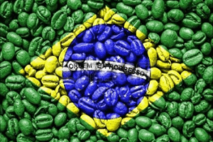 brasil flag made by coffee beans copertina