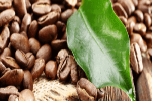 sustainability coffee copertina