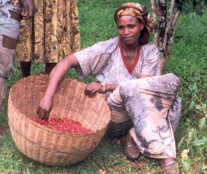 female_coffee_farmer