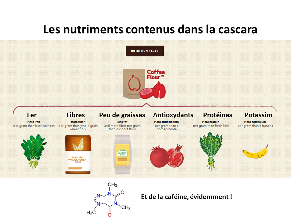 How to select a good Cascara