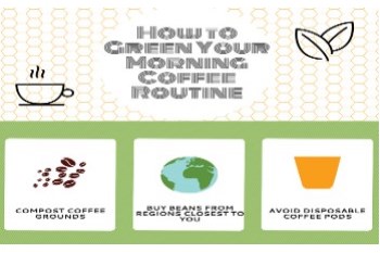 How to Green a Morning Routine