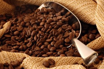 world coffee production poll