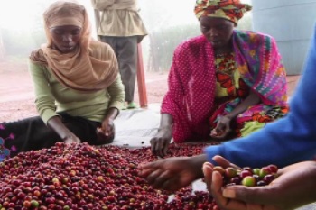 Rwanda is building a local coffee culture