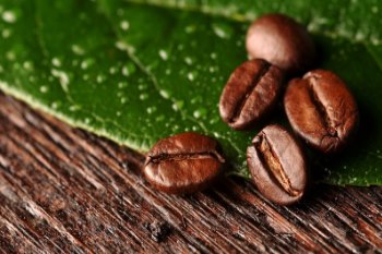 Two Key-Points To Bear In Mind For The Green Coffee Business