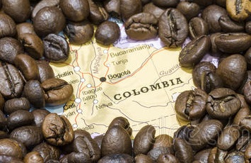The Colombian government will not be offering immediate subventions to coffee farmers due to budget constraints this year. This comes at a time when coffee producers are plagued with low prices and heavy rains, said the head of the Coffee Growers’ Federation.