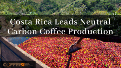 Costa Rica Leads Neutral Carbon Coffee Production