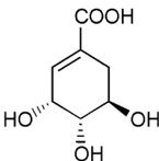 Origin Of Some Coffee "Defects"