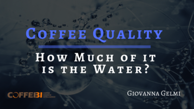 Coffee quality