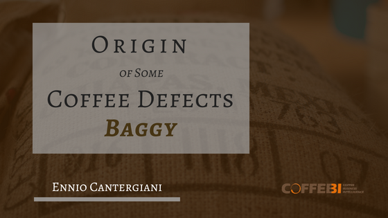 Origin of Some Coffee Defects - «Baggy»