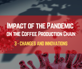 Covid-19: Impact of the Pandemic on the Coffee Sector. Future Changes and Innovations (Part 3)