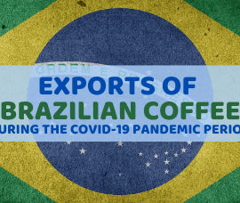 The impacts of the COVID-19 pandemic on Brazilian coffee exports. A BSCA interview