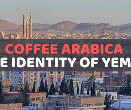 Coffee Arabica – The identity of Yemen