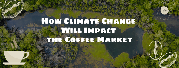 How Climate Change Will Impact the Coffee Market