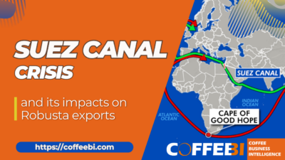 Suesz Canal crisis impacts robusta exports