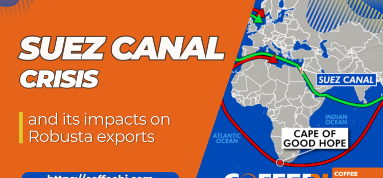 The Suez Canal crisis and its impacts on robusta exports
