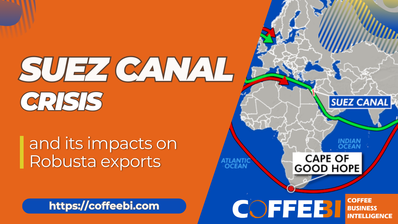 The Suez Canal Crisis And Its Impacts On Robusta Exports