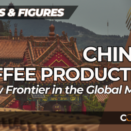 China-coffee-production