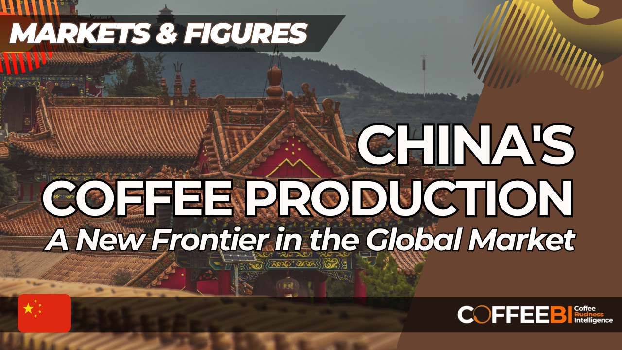 China-coffee-production