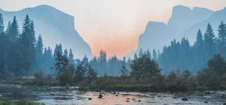 U.S. Specialty Coffee Market 2025: Growth, Challenges, and Strategic Shifts